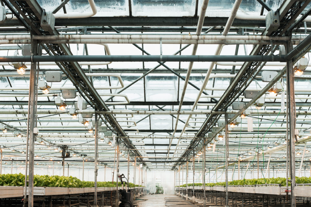 Greenhouse cultivation facility