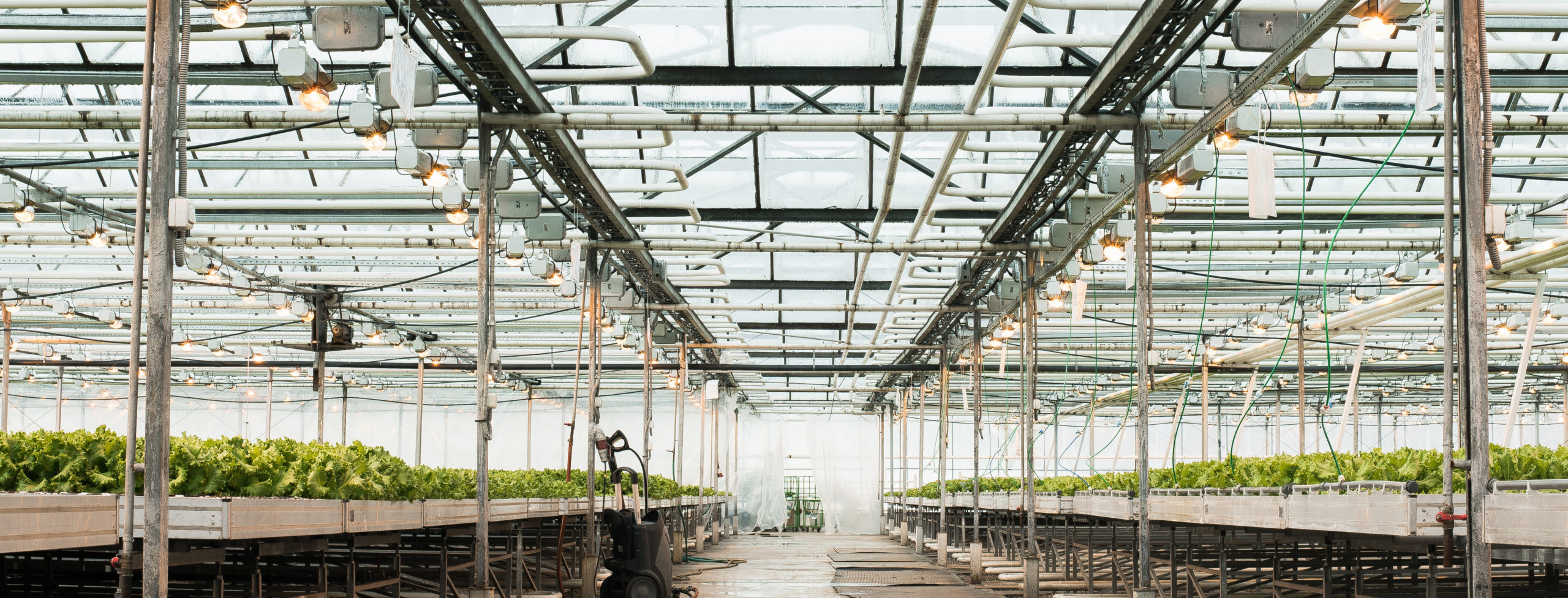 Greenhouse cultivation facility