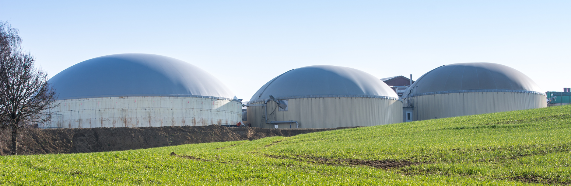 Image of 3 anaerobic digestion facilities in a green pasture.