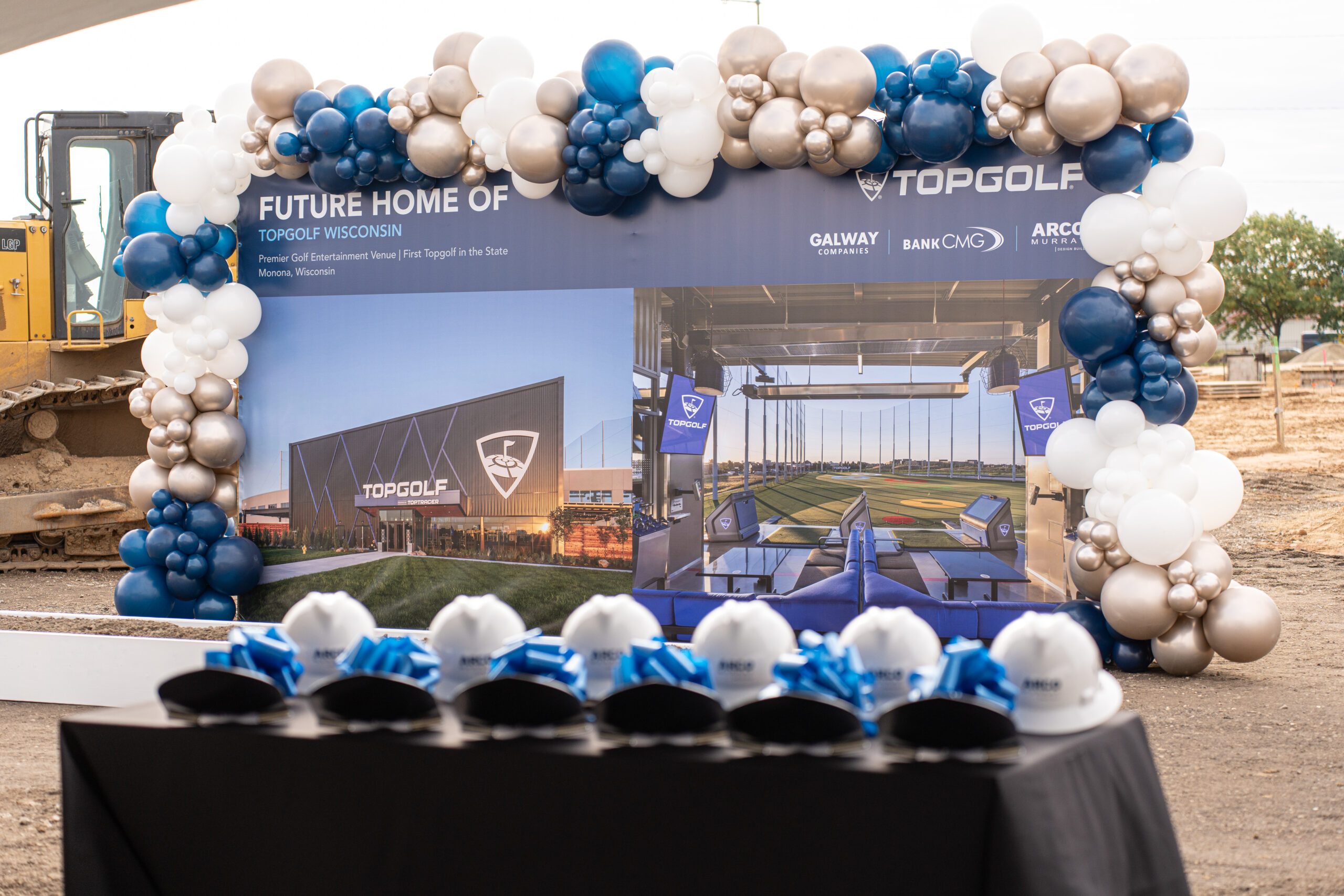 Decorative Backdrop with Balloons 